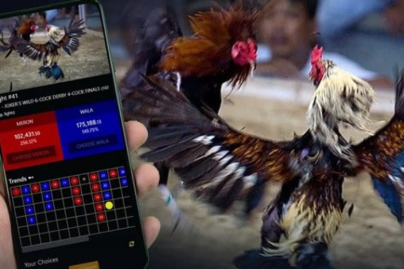 Sabung Ayam Online Sv388